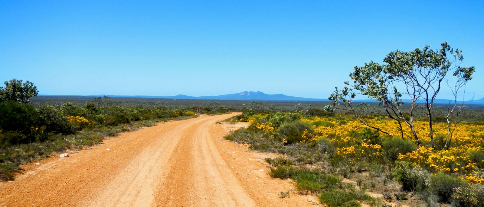 Western Australia: Wildflowers, Wineries and Private Gardens of the ...